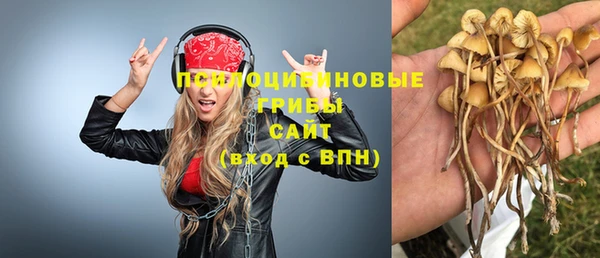 соль курить ск Аркадак