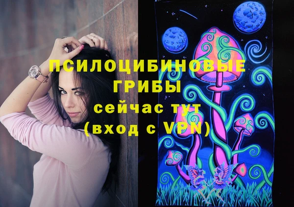 молекула духа Армянск